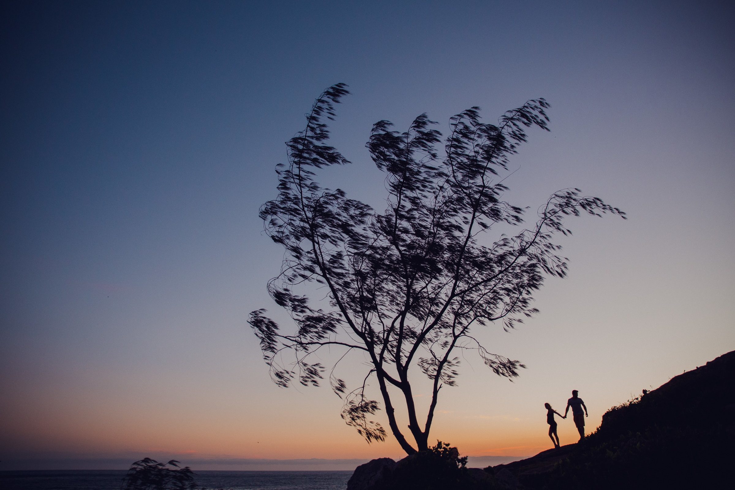 Foto de Felipe Machado Fotografia 4