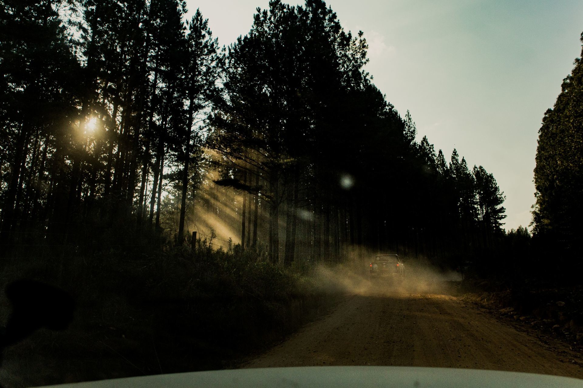 Foto Expedição Campos Gerais - Planeta 4x4 Expedições - PR- Brasil  - Imagem 13
