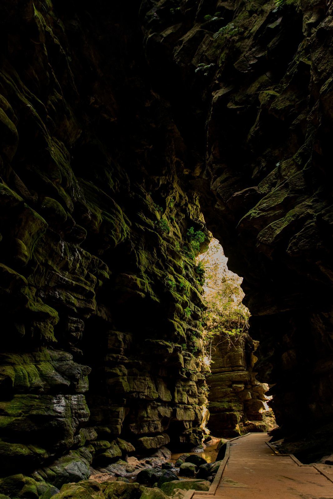 Foto Expedição Campos Gerais - Planeta 4x4 Expedições - PR- Brasil  - Imagem 10