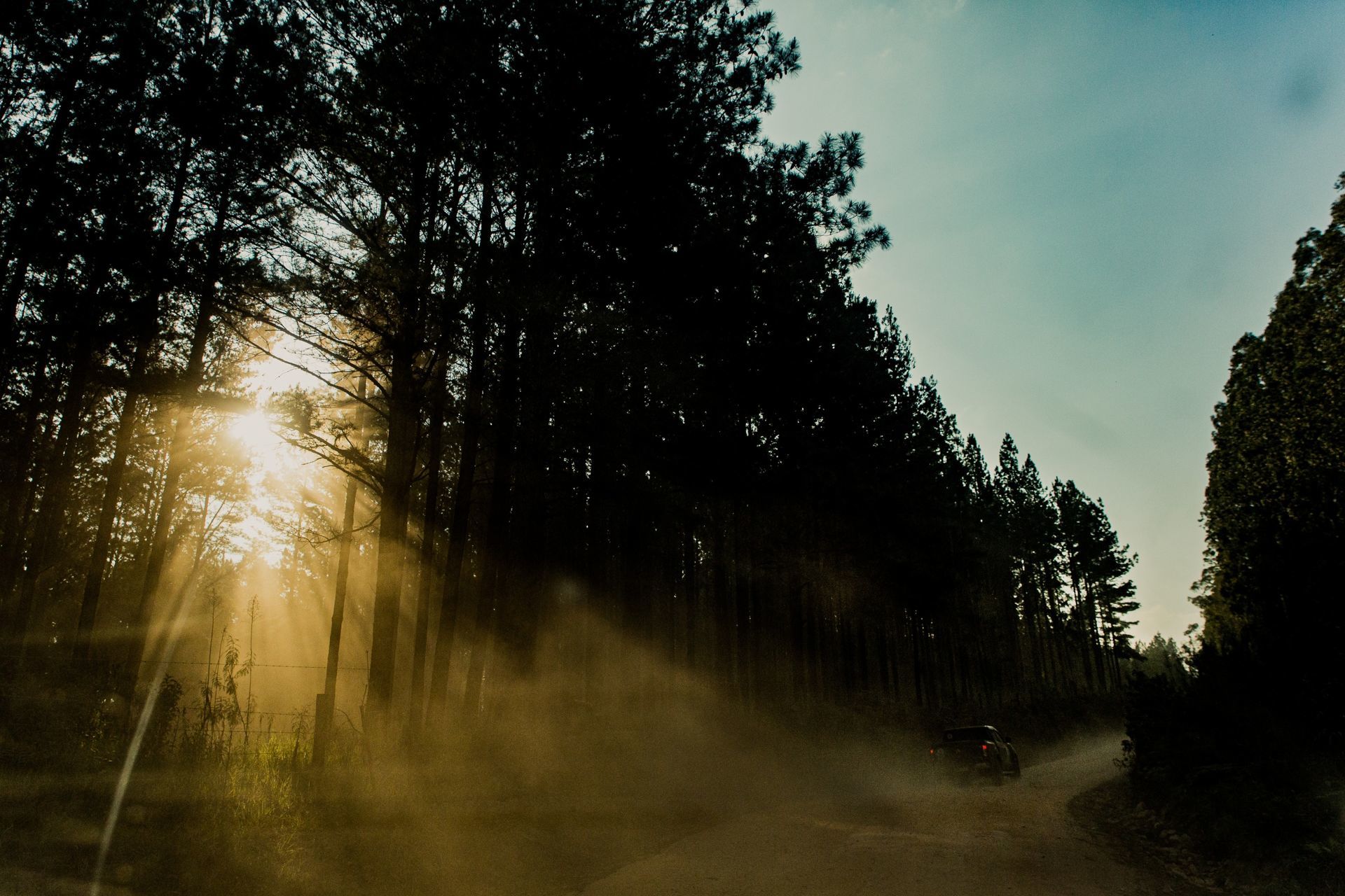 Foto Expedição Campos Gerais - Planeta 4x4 Expedições - PR- Brasil  - Imagem 14