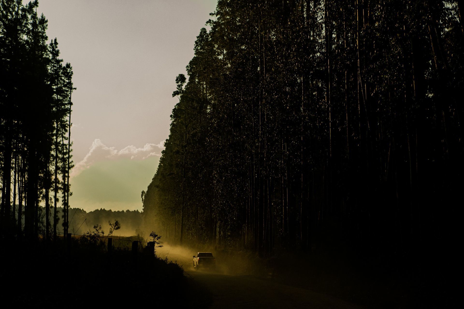 Foto Expedição Campos Gerais - Planeta 4x4 Expedições - PR- Brasil  - Imagem 15