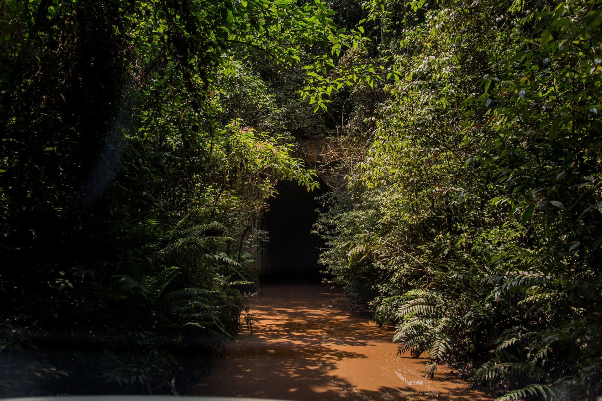 Foto Expedição Campos Gerais - Planeta 4x4 Expedições - PR- Brasil  - Imagem 32