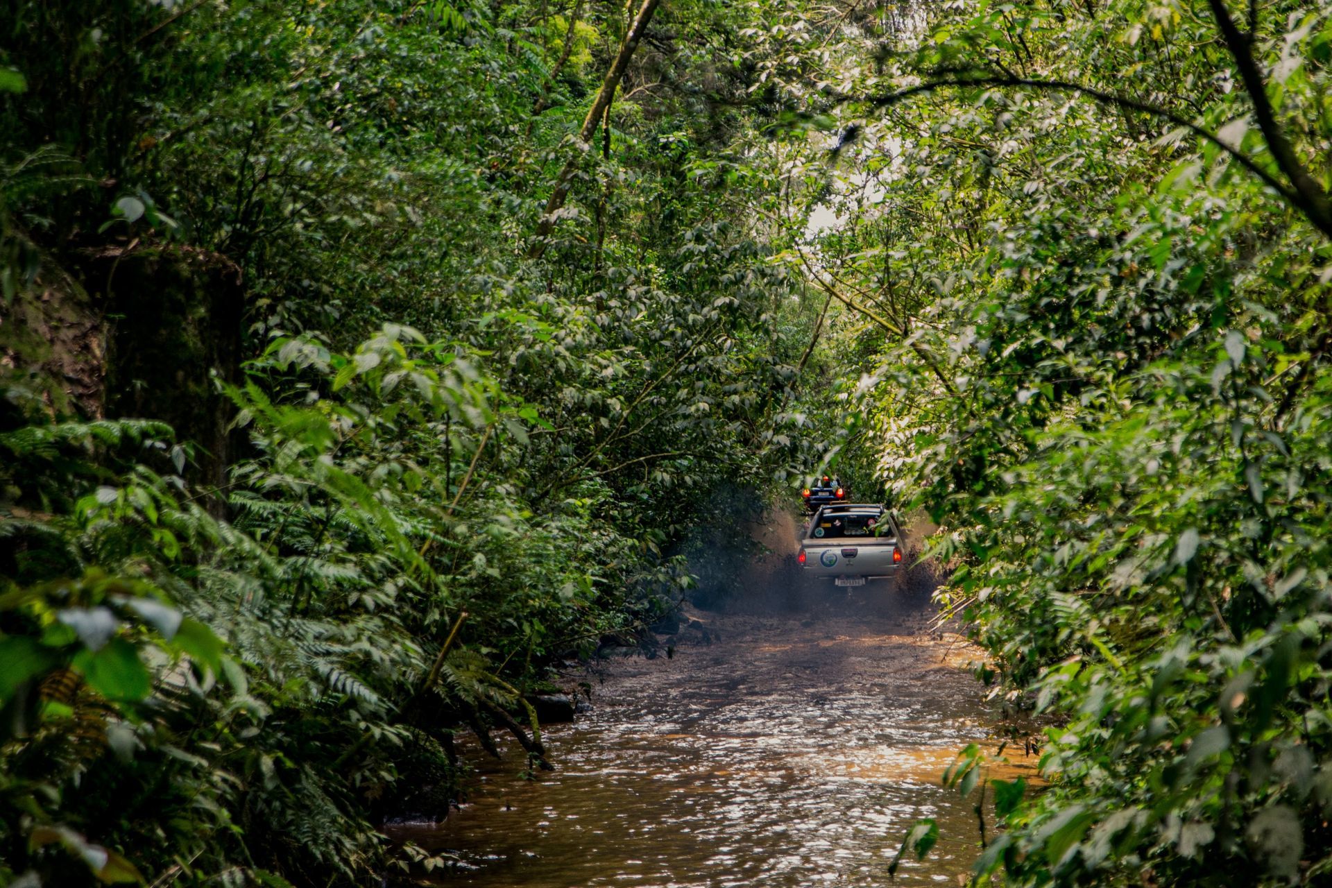 Foto Expedição Campos Gerais - Planeta 4x4 Expedições - PR- Brasil  - Imagem 38
