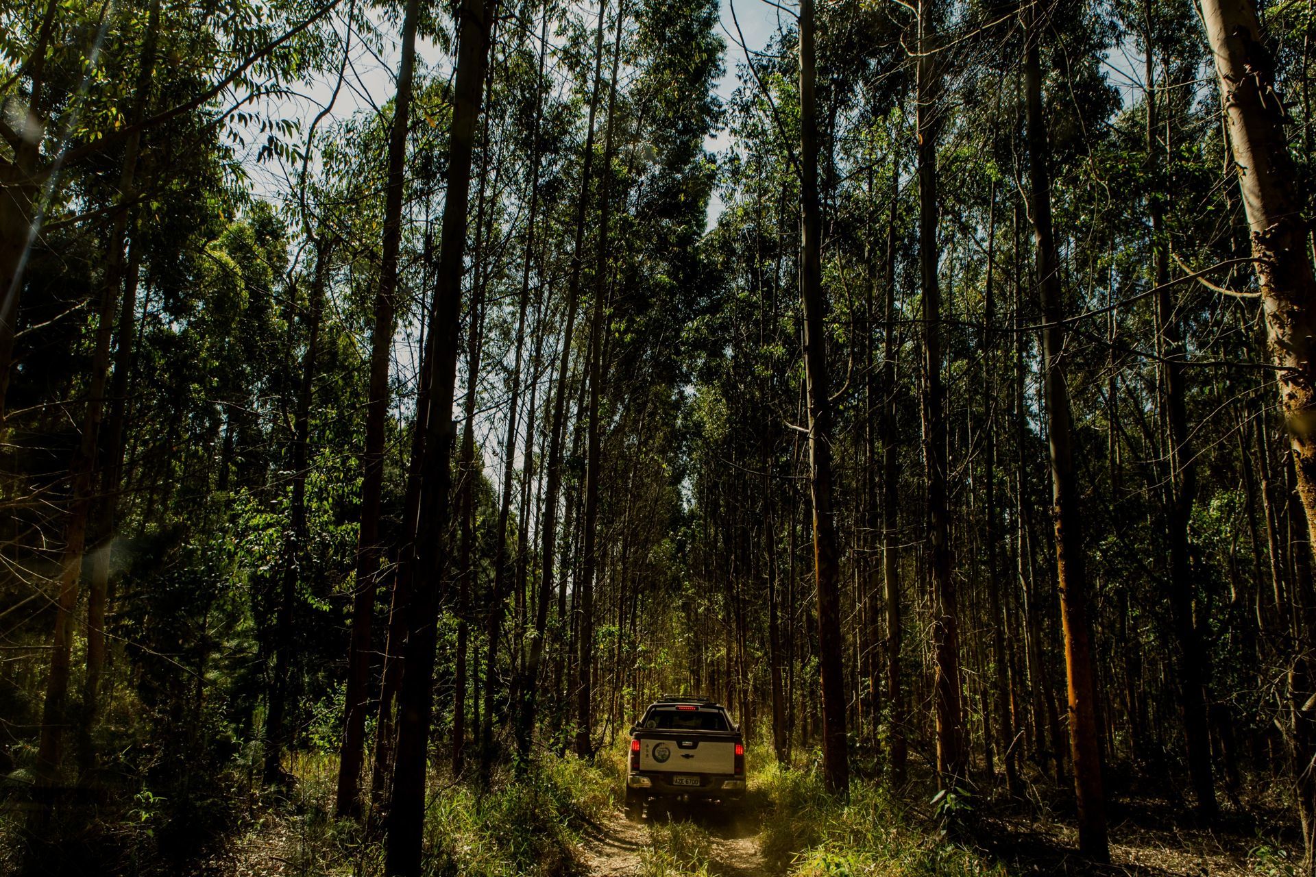 Foto Expedição Campos Gerais - Planeta 4x4 Expedições - PR- Brasil  - Imagem 25