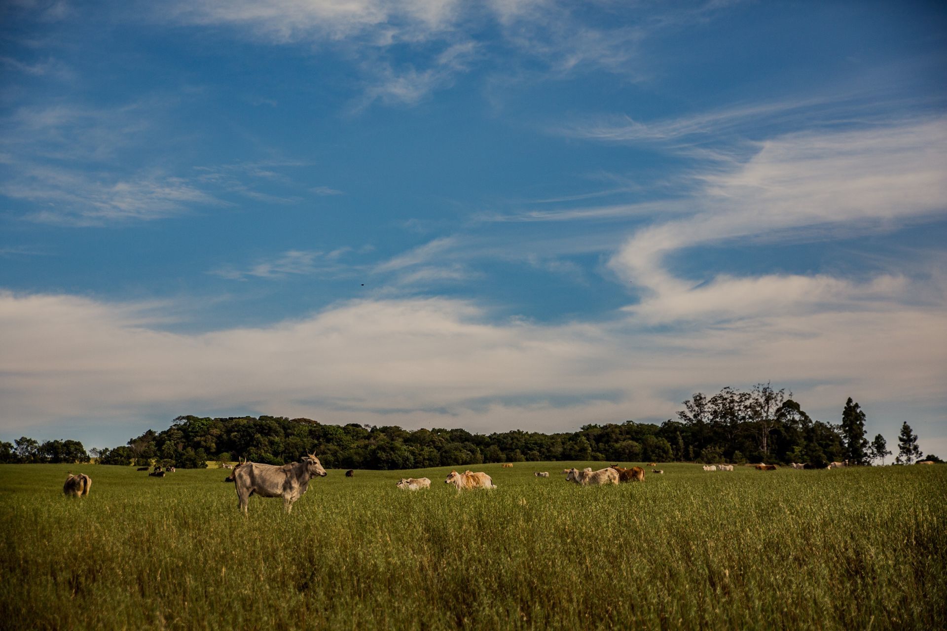 Foto Expedição Campos Gerais - Planeta 4x4 Expedições - PR- Brasil  - Imagem 29