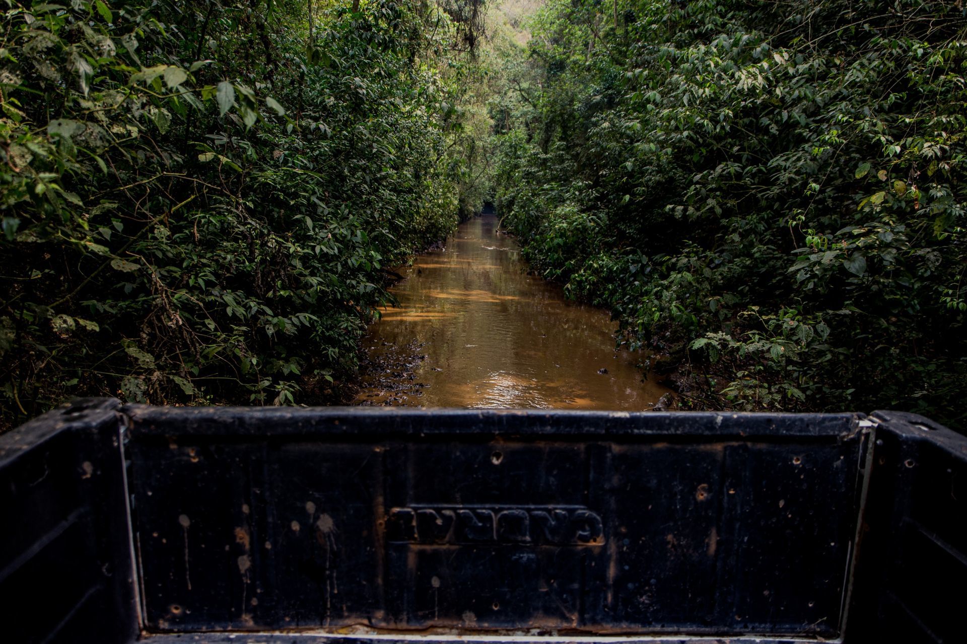 Foto Expedição Campos Gerais - Planeta 4x4 Expedições - PR- Brasil  - Imagem 39