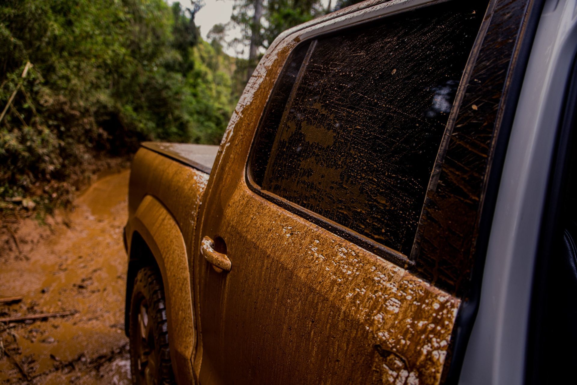 Foto Expedição Campos Gerais - Planeta 4x4 Expedições - PR- Brasil  - Imagem 41