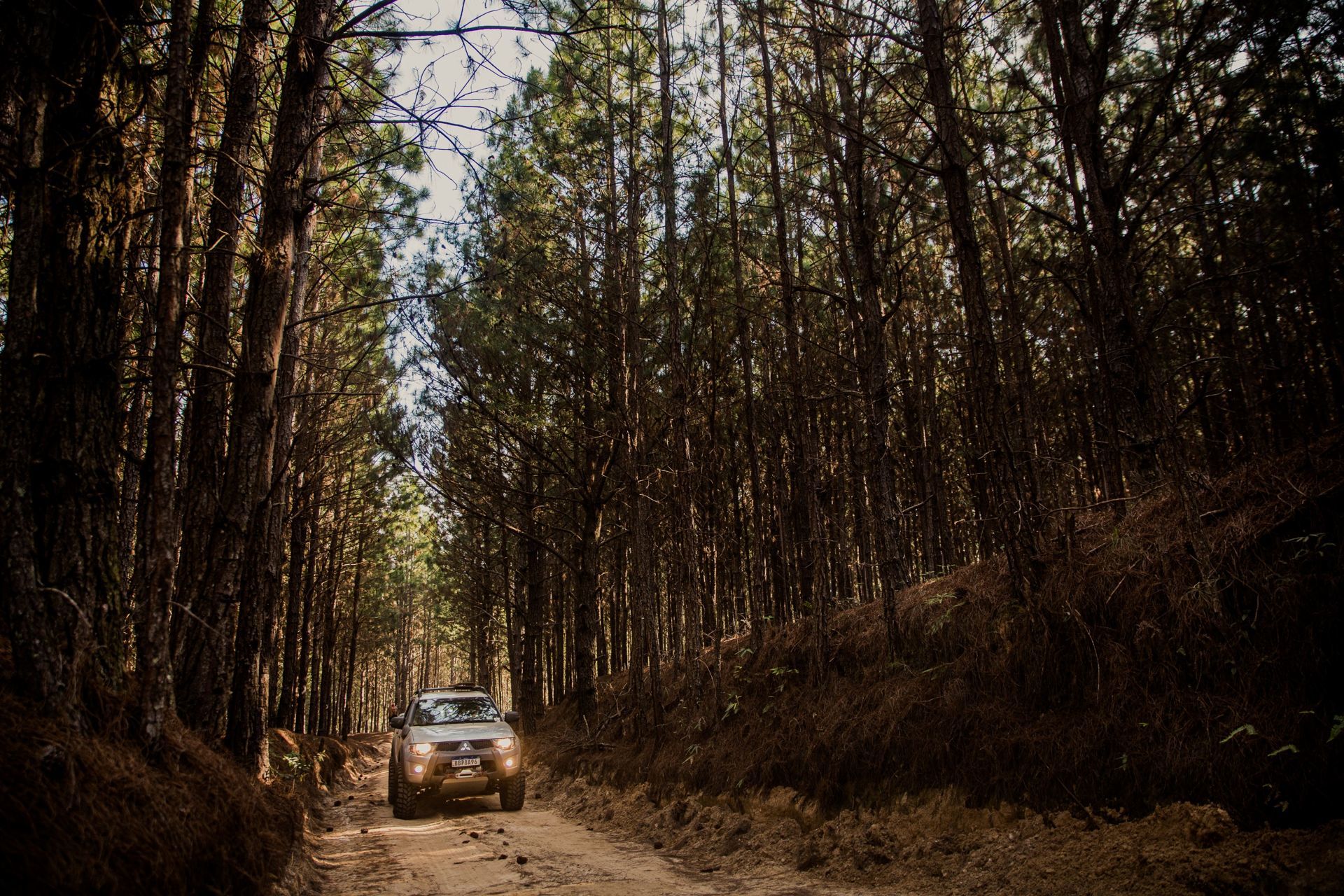 Foto Expedição Campos Gerais - Planeta 4x4 Expedições - PR- Brasil  - Imagem 27