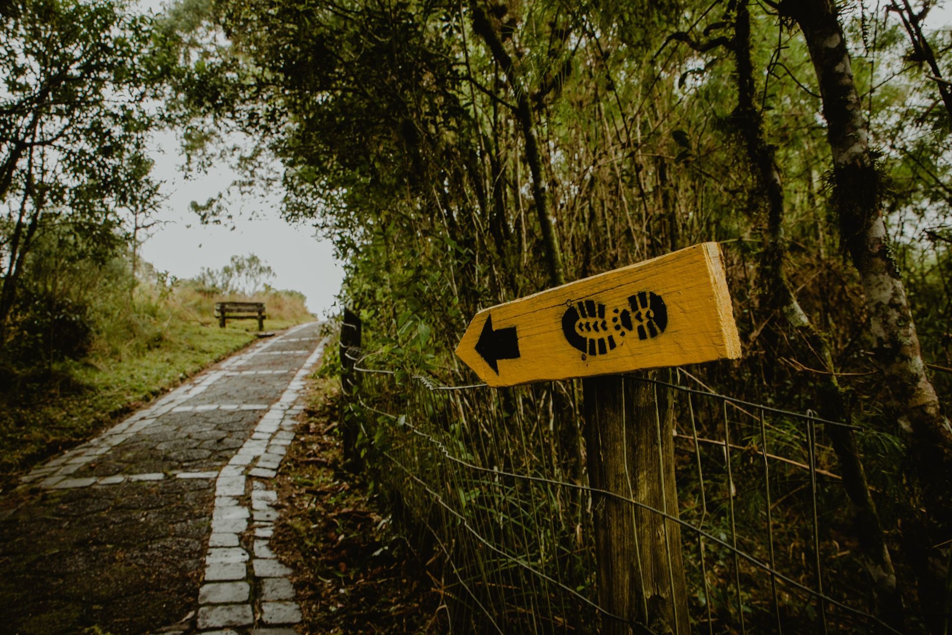 Foto Expedição Cânions - Planeta 4x4 Expedições - RS - Brasil  - Imagem 4