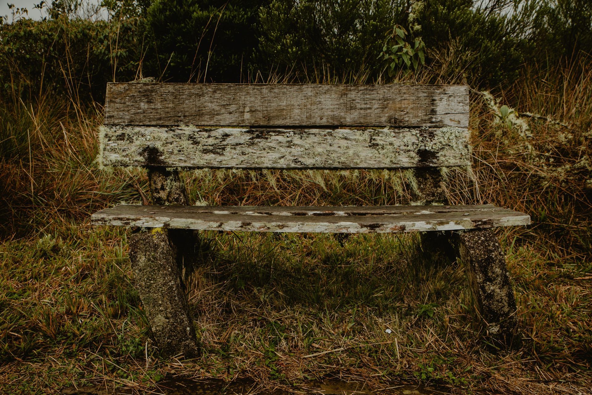 Foto Expedição Cânions - Planeta 4x4 Expedições - RS - Brasil  - Imagem 5