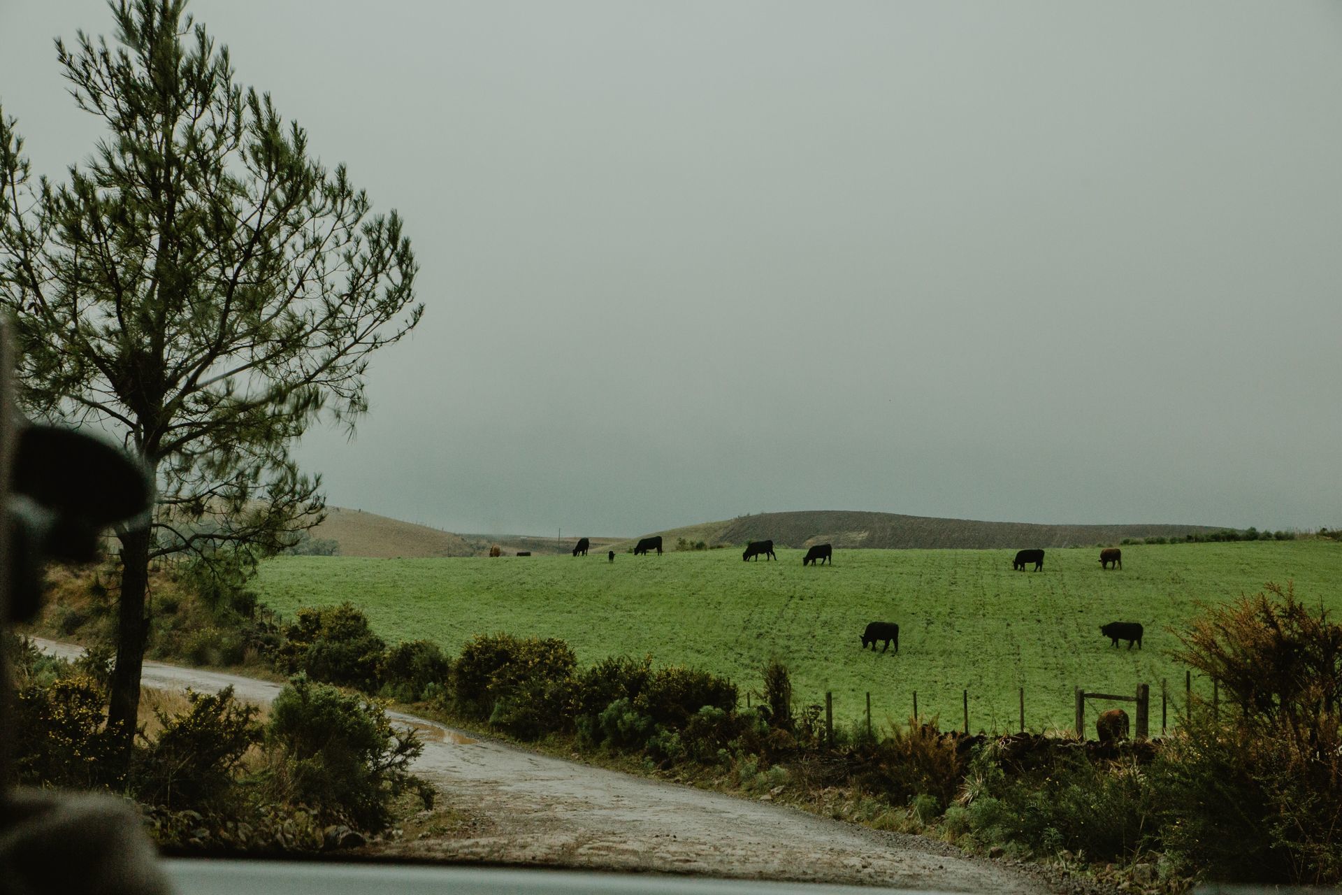 Foto Expedição Cânions - Planeta 4x4 Expedições - RS - Brasil  - Imagem 29