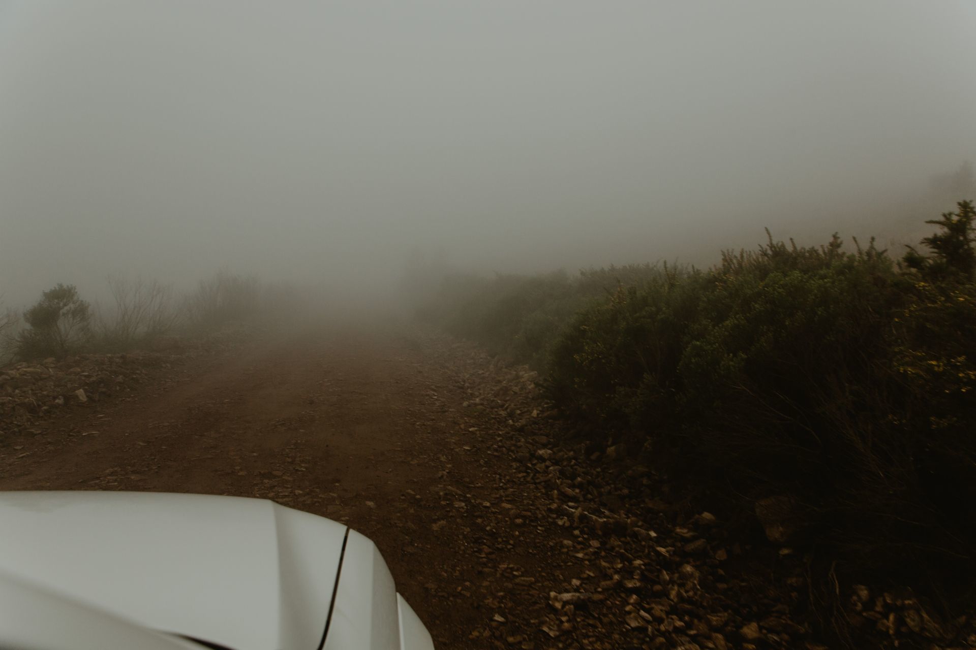 Foto Expedição Cânions - Planeta 4x4 Expedições - RS - Brasil  - Imagem 10