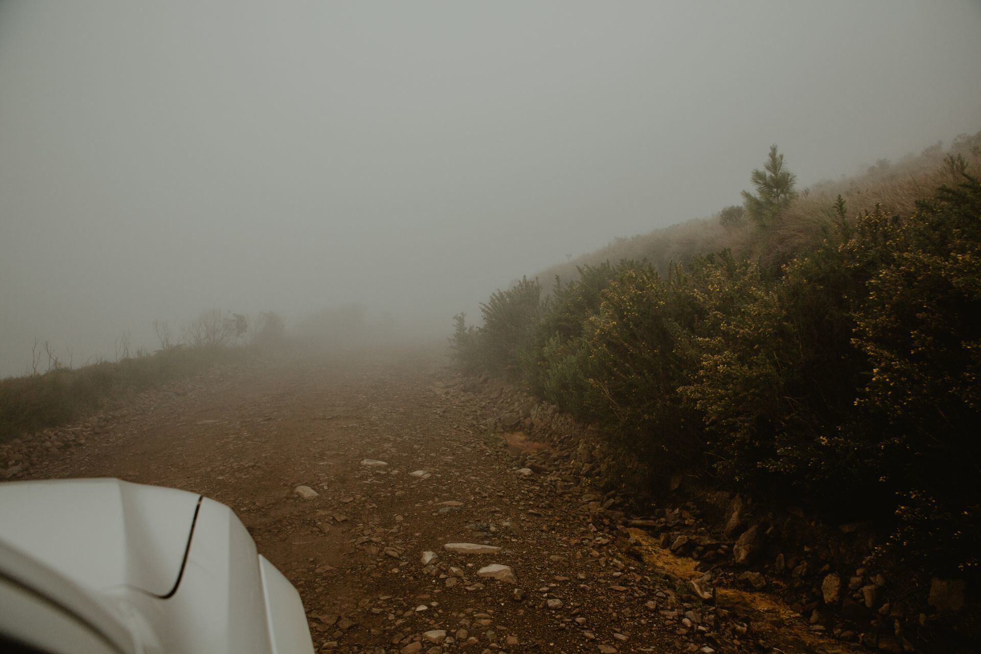 Foto Expedição Cânions - Planeta 4x4 Expedições - RS - Brasil  - Imagem 12